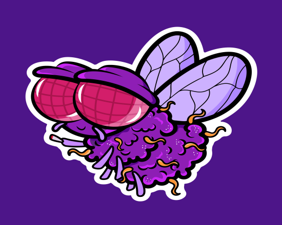 Purple Fly