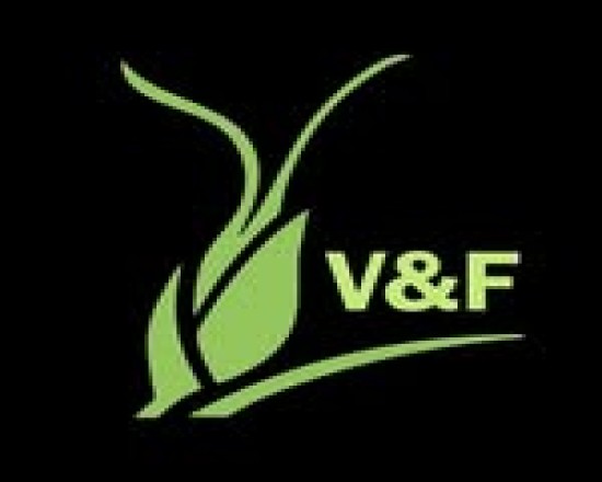 Vega e Flora